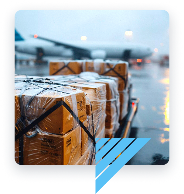 visual-servizio-logistico-dogana